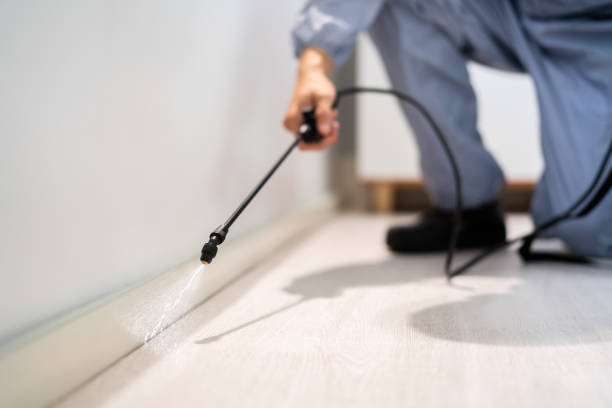 Licensed Pest Control service in St. Helens, OR - Show Me Pest Control