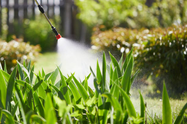 Tamper-Resistant Bait Stations for Rodents in St. Helens