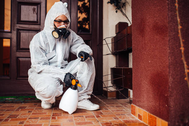 Attic and Crawl Space Rodent Treatment in St. Helens